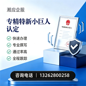 昆明专精特新小巨人申报服务