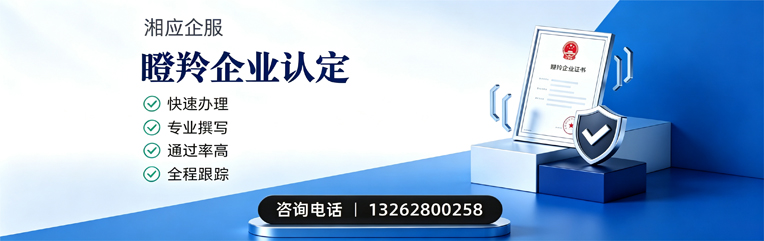 昆明瞪羚企业认定申报服务
