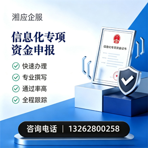 昆明信息化专项资金申报服务
