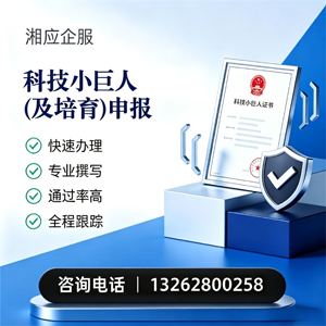 昆明科技小巨人及培育企业申报服务