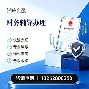 昆明财务辅导申请服务
