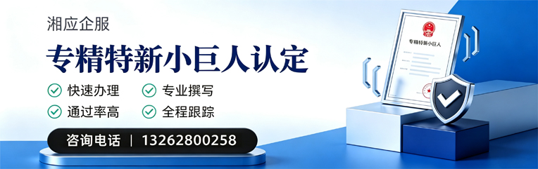 昆明专精特新小巨人申报服务